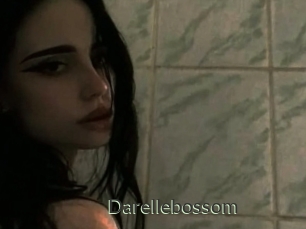 Darellebossom