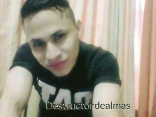 Destructordealmas