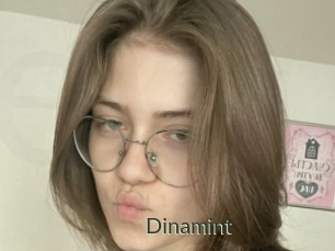 Dinamint