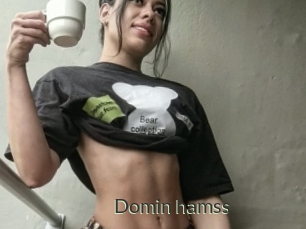 Domin_hamss