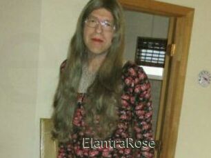 Elantra_Rose