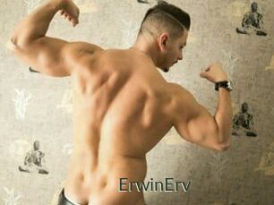 ErwinErv