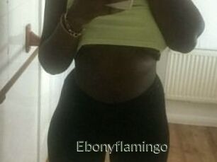 Ebony_flamingo