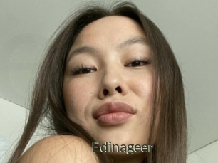 Edinageer