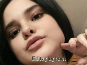Editagleghorn