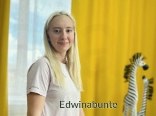 Edwinabunte