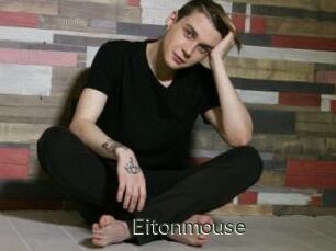 Eitonmouse