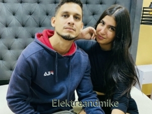 Elektraandmike