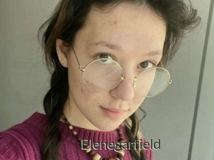Elenegarfield