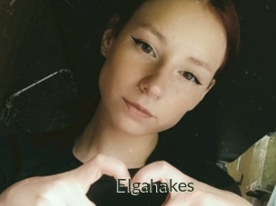 Elgahakes