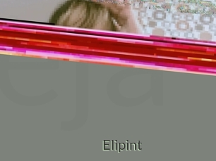 Elipint