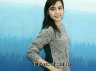 Elisebarberton