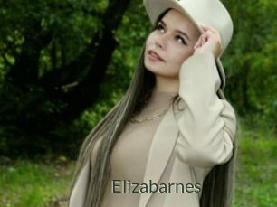 Elizabarnes