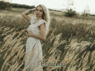 Elizamool