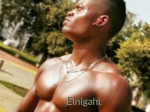 Elnigaht