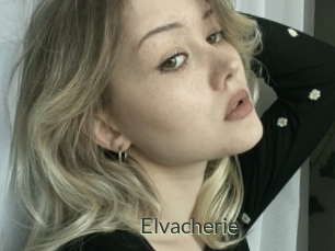 Elvacherie