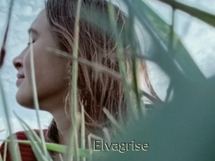elvagrise Ejaculator