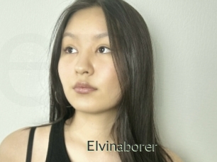 Elvinaborer