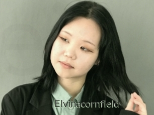Elvinacornfield