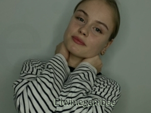 Elwinegambee