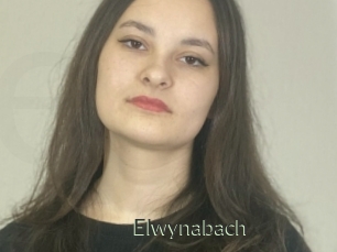 Elwynabach