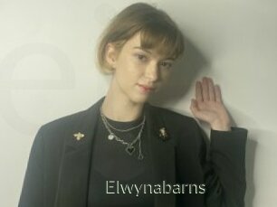 Elwynabarns