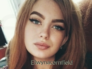 Elwynacornfield