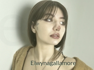 Elwynagallamore