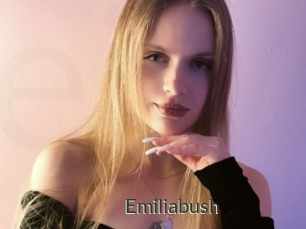 Emiliabush