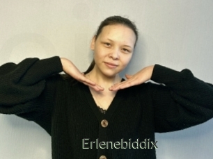Erlenebiddix