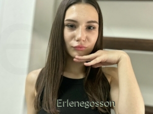 Erlenegosson