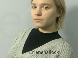 Erlenehallock