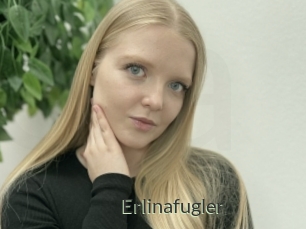 Erlinafugler