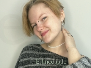 Erlinediggle