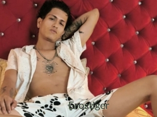 Erostiger
