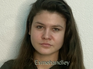 Esmehandley