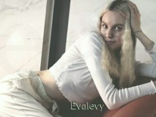 Evalevy