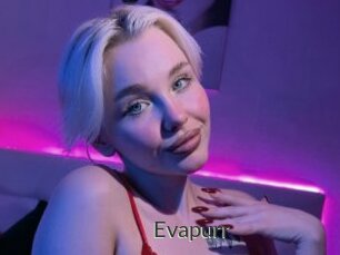 Evapurr