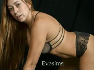 Evasims