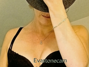 Evastonecam