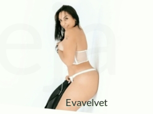 Evavelvet