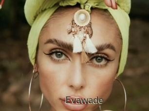 evawade Ejaculator