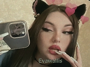 Evawallis