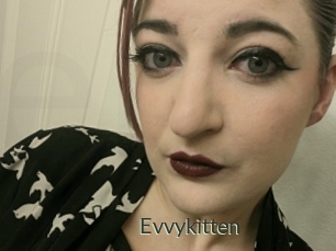 Evvykitten