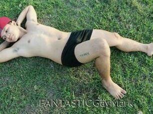FANTASTICGayMark