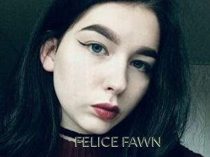 FELICE_FAWN