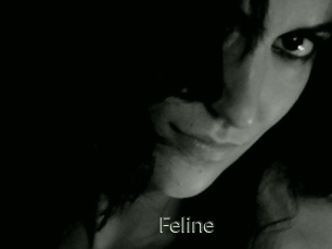Feline