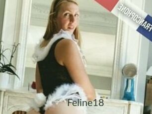 Feline18