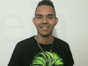 Felino