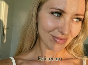 Felicecam